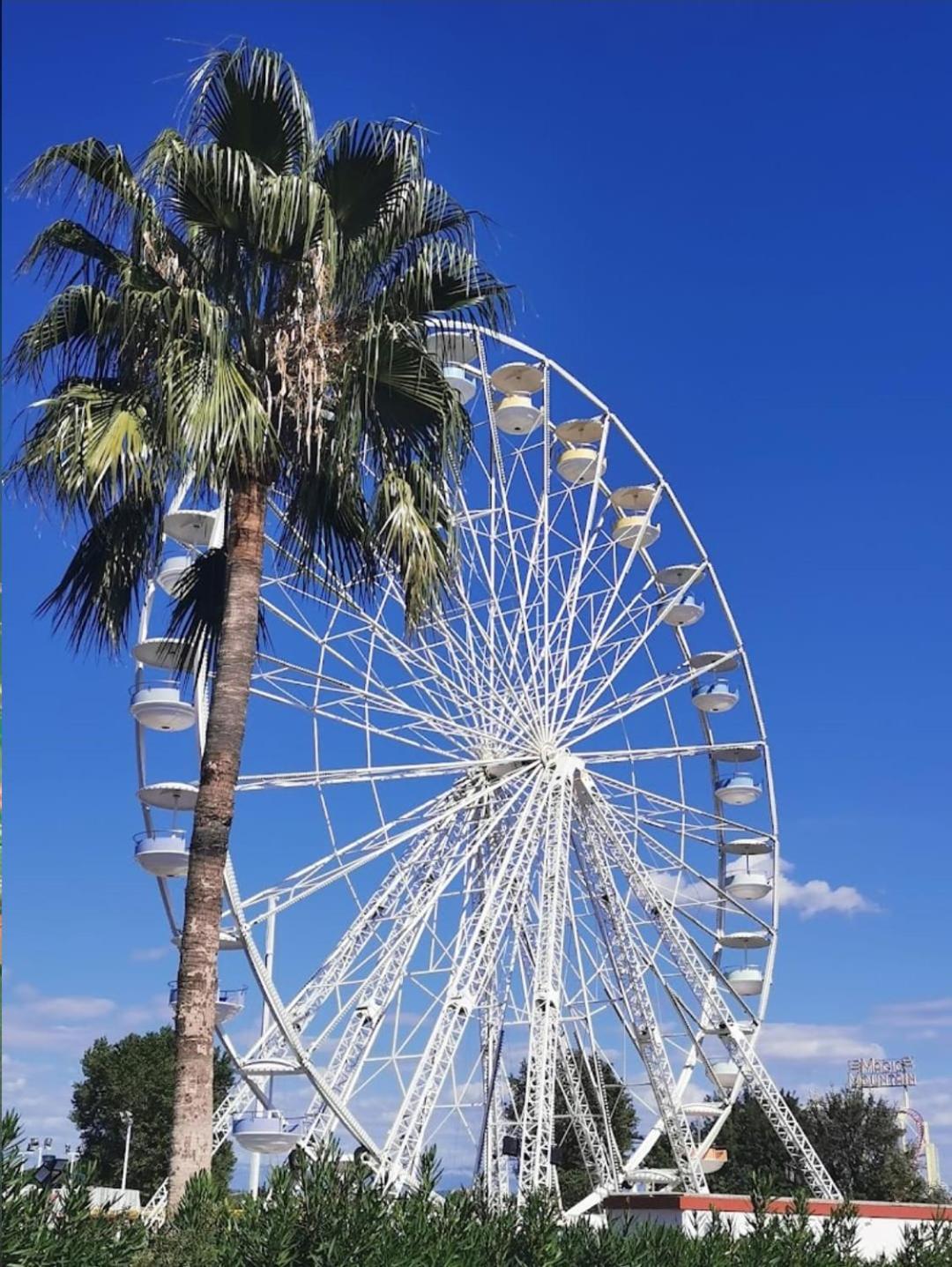 Spacieux T2 A 1 Minute De La Gare Et Du Centre Ville Situe A 4 Minutes De La Plage Et Du Port De Fréjus Esterno foto