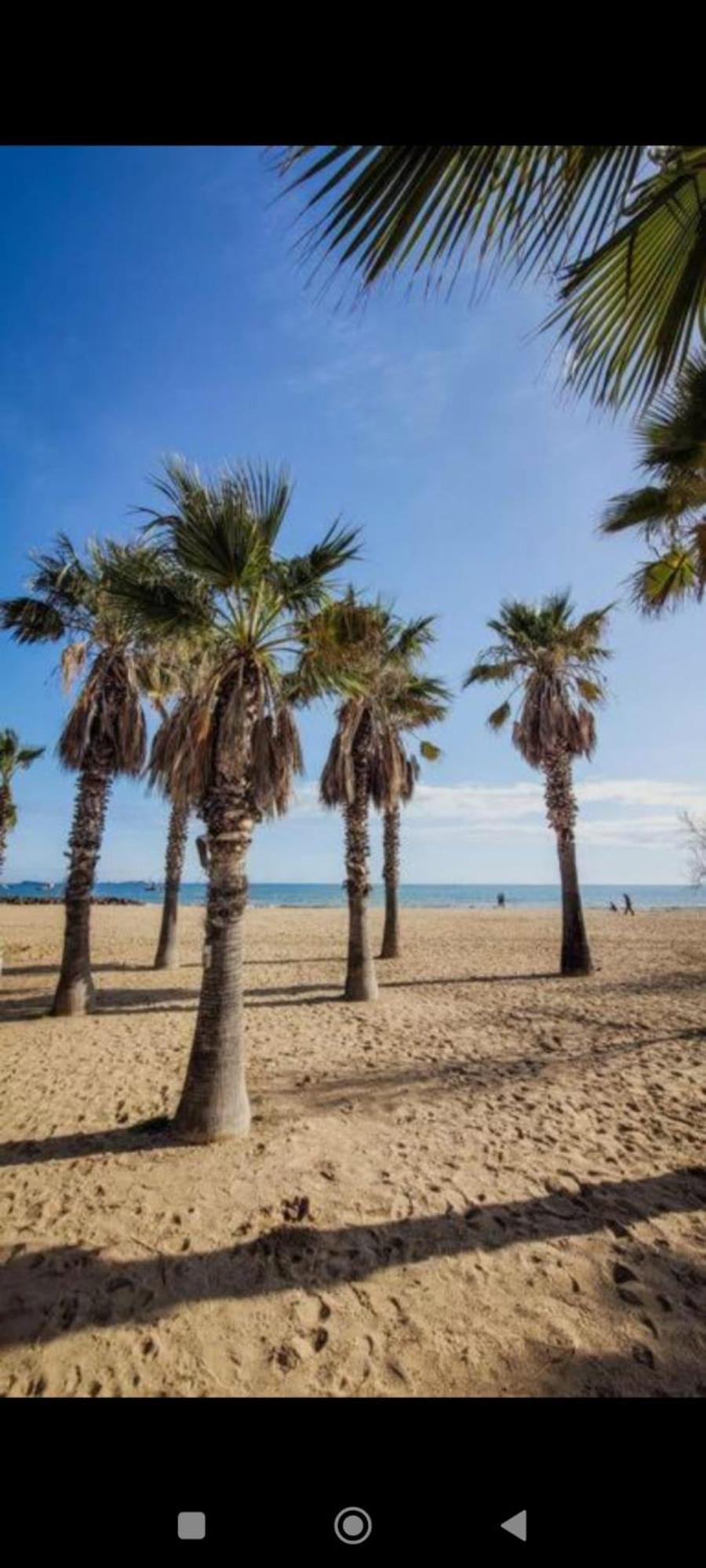 Spacieux T2 A 1 Minute De La Gare Et Du Centre Ville Situe A 4 Minutes De La Plage Et Du Port De Fréjus Esterno foto